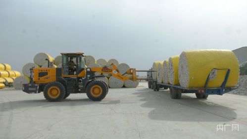 新疆伽師棉花企業(yè)開足馬力忙生產
