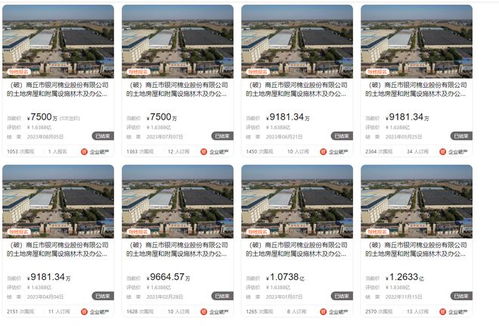 商丘市銀河棉業(yè)破產,大型廠房第八次拍賣,7500萬就成交了